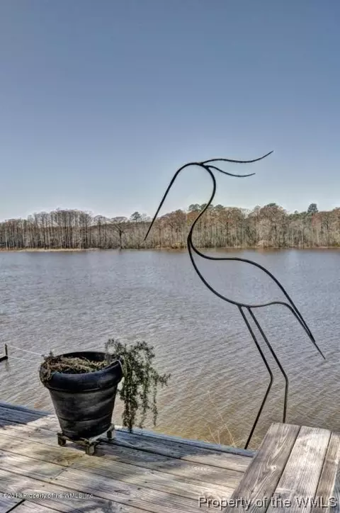 15401 Rolfe Ct, Lanexa, VA 23089 photo 41