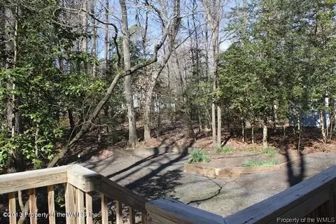 113 Winter E, Williamsburg, VA 23188 photo 17