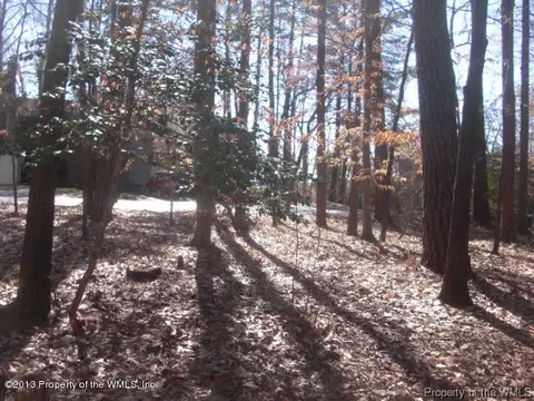 14 Autumn E, Williamsburg, VA 23188 photo 3