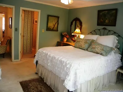 513 Spring Trce, Williamsburg, VA 23188 photo 14