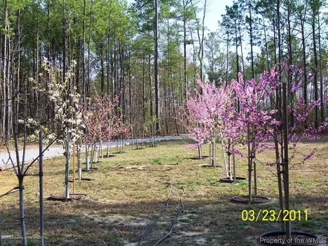 1808 W Colonial, Dendron, VA 23839 photo 12