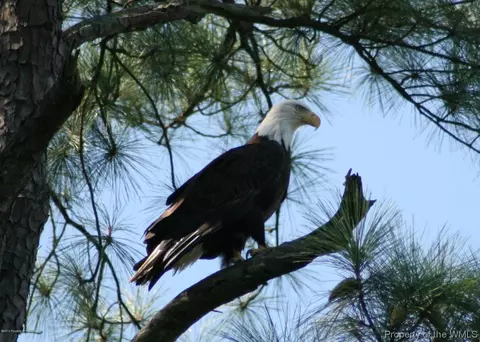 5054 River Dr, Lanexa, VA 23089 photo 30