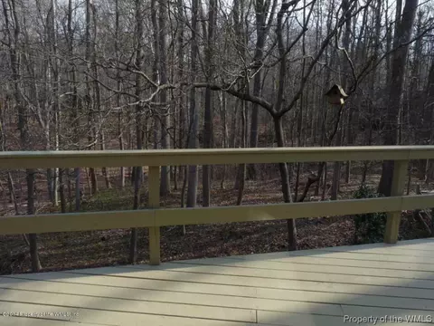 14 Hampton Ky, Williamsburg, VA 23185 photo 26