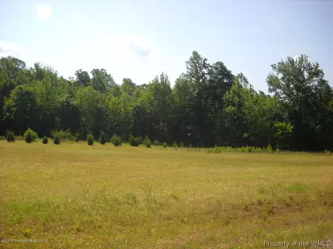 968 Beaverdam Rd, Spring Grove, VA 23881 photo 3