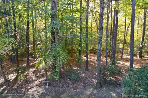80 Governor Berkeley Rd, Williamsburg, VA 23185 photo 28