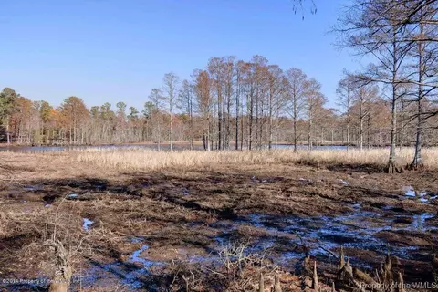 15730 River Bend Trl, Lanexa, VA 23089 photo 48