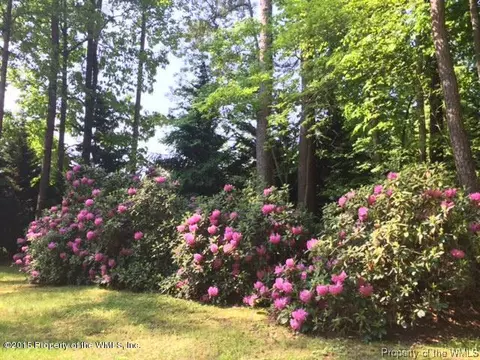2 Forth Riv, Williamsburg, VA 23188 photo 49