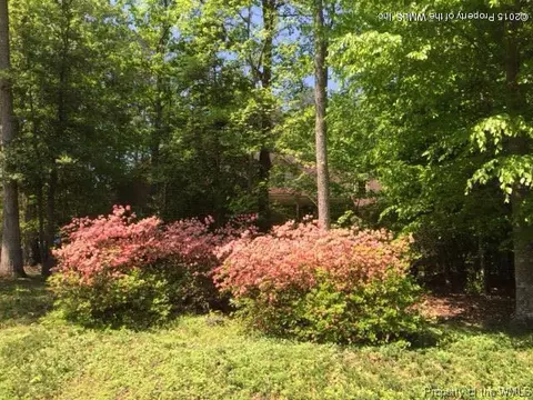 2 Forth Riv, Williamsburg, VA 23188 photo 45