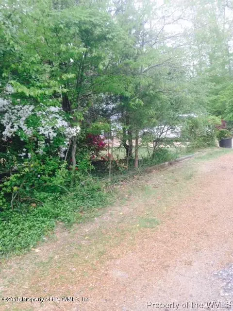 120 Spring Rd, Williamsburg, VA 23185 photo 27