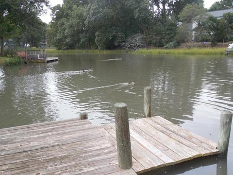 312 Riverside Dr, Hampton, VA 23669 photo 42