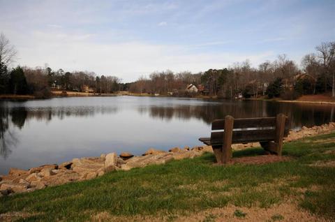 100 Eagle, Williamsburg, VA 23188 photo 83