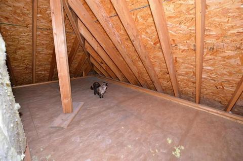 230 William Way, Williamsburg, VA 23188 photo 25